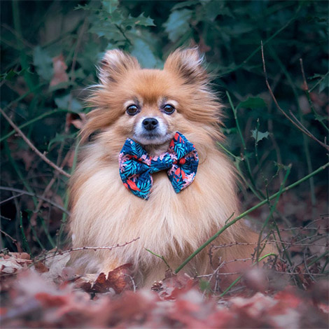 april & june - Kiegészítő