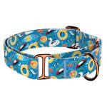 Balatoni nyár - Kutya Félfojtó Nyakörv - april & june