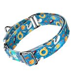 Balatoni nyár - Kutya Félfojtó Nyakörv - april & june