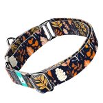 Őszi mezei virágok - Kutya Félfojtó Nyakörv - april & june