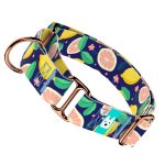 Kék Citrom - Kutya Félfojtó Nyakörv - april & june