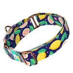 Kék Citrom - Kutya Félfojtó Nyakörv - april & june