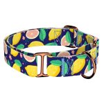 Kék Citrom - Kutya Félfojtó Nyakörv - april & june