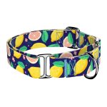 Kék Citrom - Kutya Félfojtó Nyakörv - april & june