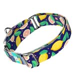 Kék Citrom - Kutya Félfojtó Nyakörv - april & june