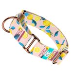 Nyári Citromok - Kutya Félfojtó Nyakörv - april & june