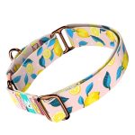 Nyári Citromok - Kutya Félfojtó Nyakörv - april & june