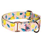 Nyári Citromok - Kutya Félfojtó Nyakörv - april & june