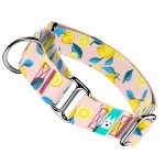 Nyári Citromok - Kutya Félfojtó Nyakörv - april & june