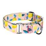 Nyári Citromok - Kutya Félfojtó Nyakörv - april & june