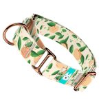 Barack mintás - Kutya Félfojtó Nyakörv - april & june