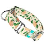 Barack mintás - Kutya Félfojtó Nyakörv - april & june