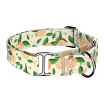 Barack mintás - Kutya Félfojtó Nyakörv - april & june