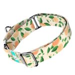 Barack mintás - Kutya Félfojtó Nyakörv - april & june