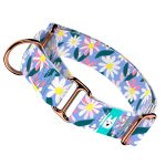 Margaréták - Kutya Félfojtó Nyakörv - april & june