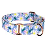 Margaréták - Kutya Félfojtó Nyakörv - april & june