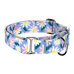 Margaréták - Kutya Félfojtó Nyakörv - april & june