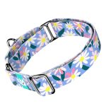 Margaréták - Kutya Félfojtó Nyakörv - april & june