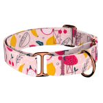 Nyári gyümölcsök - Kutya Félfojtó Nyakörv - april & june