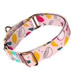 Nyári gyümölcsök - Kutya Félfojtó Nyakörv - april & june