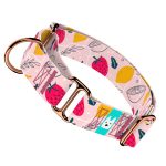 Nyári gyümölcsök - Kutya Félfojtó Nyakörv - april & june