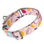 Nyári gyümölcsök - Kutya Félfojtó Nyakörv - april & june