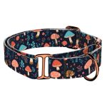 Gombás Erdő - Kutya Félfojtó Nyakörv - april & june