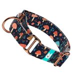 Gombás Erdő - Kutya Félfojtó Nyakörv - april & june