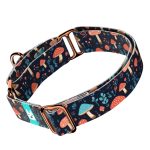 Gombás Erdő - Kutya Félfojtó Nyakörv - april & june