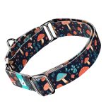 Gombás Erdő - Kutya Félfojtó Nyakörv - april & june