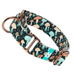 Elvarázsolt Gombák - Kutya Félfojtó Nyakörv - april & june