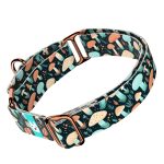 Elvarázsolt Gombák - Kutya Félfojtó Nyakörv - april & june