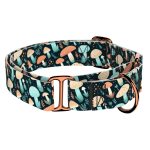 Elvarázsolt Gombák - Kutya Félfojtó Nyakörv - april & june