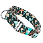 Elvarázsolt Gombák - Kutya Félfojtó Nyakörv - april & june