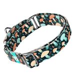 Elvarázsolt Gombák - Kutya Félfojtó Nyakörv - april & june