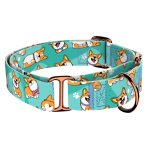 Pembroke Welsh Corgi, kék - Kutya Félfojtó Nyakörv - april & june