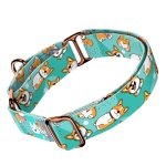 Pembroke Welsh Corgi, kék - Kutya Félfojtó Nyakörv - april & june