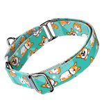 Pembroke Welsh Corgi, kék - Kutya Félfojtó Nyakörv - april & june