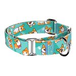 Pembroke Welsh Corgi, kék - Kutya Félfojtó Nyakörv - april & june