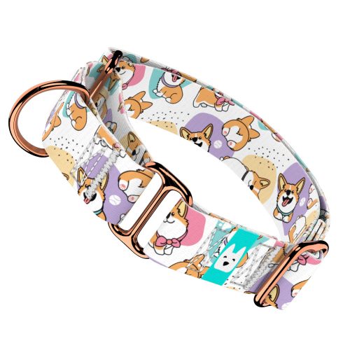 Pembroke Welsh Corgi - Kutya Félfojtó Nyakörv - Martingale  - Pembroke Welsh Corgi - april & june