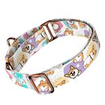 Pembroke Welsh Corgi - Kutya Félfojtó Nyakörv - april & june