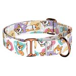 Pembroke Welsh Corgi - Kutya Félfojtó Nyakörv - april & june