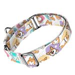 Pembroke Welsh Corgi - Kutya Félfojtó Nyakörv - april & june