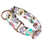 Pembroke Welsh Corgi, tricolor - Kutya Félfojtó Nyakörv - april & june