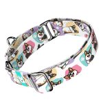 Pembroke Welsh Corgi, tricolor - Kutya Félfojtó Nyakörv - april & june