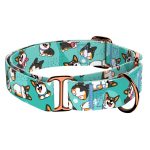 Pembroke Welsh Corgi, tricolor, kék  - Kutya Félfojtó Nyakörv - april & june