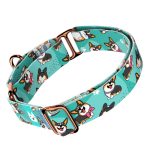 Pembroke Welsh Corgi, tricolor, kék  - Kutya Félfojtó Nyakörv - april & june