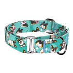 Pembroke Welsh Corgi, tricolor, kék  - Kutya Félfojtó Nyakörv - april & june