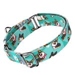 Pembroke Welsh Corgi, tricolor, kék  - Kutya Félfojtó Nyakörv - april & june