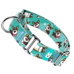 Pembroke Welsh Corgi, tricolor, kék  - Kutya Félfojtó Nyakörv - april & june